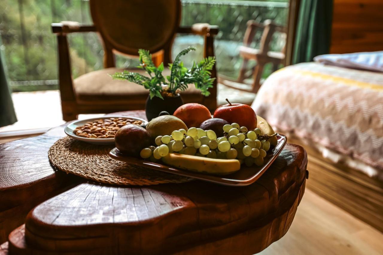 Bungalove Tatil Koeyue Çamlıhemşin Exteriér fotografie